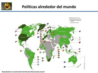 La institucionalidad de la bioeconomía en América Latina