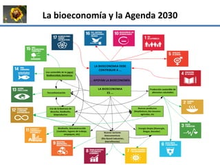 La institucionalidad de la bioeconomía en América Latina