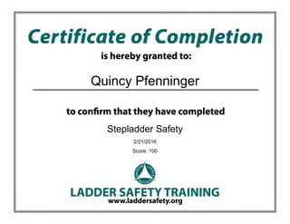 Quincy Pfenninger
Stepladder Safety
2/21/2016
Score: 100
 