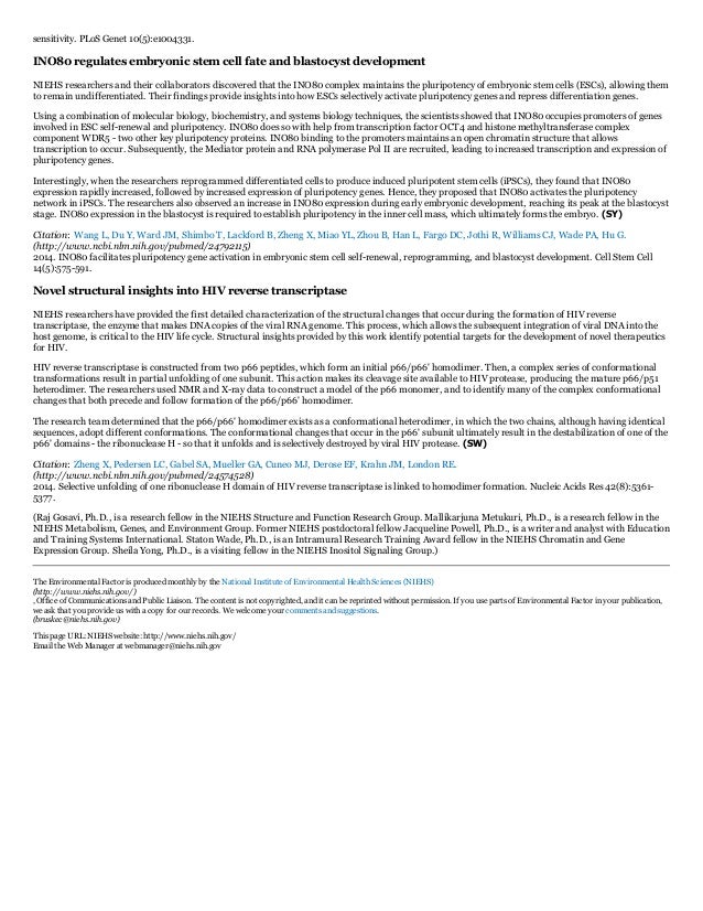 Intramurals essay example essay picture