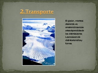 El glaciar , mientras desciende, va arrastrando las rocas antes deprendidas de las  distintas zonas. Las rocas son de distintos tamaños y formas. 