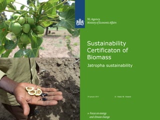29 januari 2015
Sustainability
Certificaton of
Biomass
Jatropha sustainability
Ir. Kees W. Kwant
 