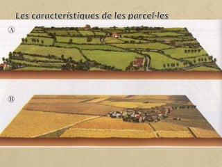 Les parcel·les són les divisions de sòl agrari i es poden diferenciar
per les dimensions (minifundis o parcel·les reduïdes, i latifundis o
parcel·les de grans extensions), la forma (regular o irregular) i els
límits (closes o obertes). D’acord amb aquests criteris, podem
distingir dos tipus de paisatges:
• Paisatges de camps oberts o openfield. Estan formats per
parcel·les obertes i formes regulars, sense tanques que les
delimitin. Són paisatges habituals de l’Europa central.
• Paisatges de camps closos o bocage. Es caracteritzen per
parcel·les closes, de formes irregulars i delimitades amb murs
i tanques. Són paisatges propis de l’Europa atlàntica.
 