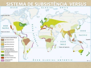 Segons el grau de desenvolupament econòmic i tècnic de les
activitats agrícoles i ramaderes, podem diferenciar dos grans tipus
de sistemes agraris: els sistemes tradicionals de subsistència i els
sistemes de mercat.
Als països subdesenvolupats, l'agricultura es debat entre dos
models oposats i fins i tot contradictoris: l'agricultura de
subsistència i l'agricultura de mercat, principalment la de
plantació.
 