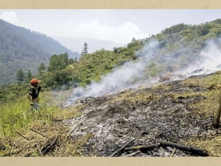 L'objectiu de les activitats agràries de subsistència és produir els
aliments necessaris per als mateixos agricultors i ramaders i
abastar el mercat local.
Aquestes explotacions acostumen a ser familiars i de dimensions
reduïdes, on habitualment es conreen diversos productes (és el
que s'anomena policultura), i són molt poc tecnificades.
Les tècniques agràries que s'utilitzen estan poc evolucionades i,
per tant, els rendiments que s'obtenen són escassos.
a) Agricultura itinerant per cremació: consisteix en la crema de
la vegetació per obtenir camps de conreu. Les cendres serveixen
de fertilitzant. Se sembren tubercles, mandioca, mill, melca... En
pocs anys les terres s'esgoten i els agricultors es desplacen en un
altre indret. És pròpia d'Àfrica, Amèrica del Sud i zones d'Àsia.
 