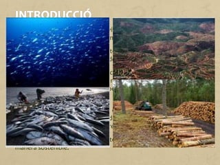 El sector primari inclou les activitats econòmiques relacionades
amb l’obtenció i la producció d’aliments.
Les principals activitats del sector primari són l’agricultura, la
ramaderia, la pesca i l’explotació dels boscos.
Els moderns sistemes de producció ens proporcionen aliment
suficient per a tota la població mundial. No obstant això, hi ha
persones que es posen malaltes per excés en la seva dieta mentre
d’altres moren de fam.
Actualment, el medi físic és objecte de sobreexplotació i
degradació com a conseqüència de les tecnologies modernes i de
les males pràctiques agroramaderes i pesqueres.
Ha de ser una prioritat del sector primari produir aliments de
manera sostenible.
 