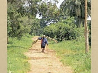 Els boscos no tan sols s'exploten per obtenir fusta i elaborar altres
productes forestals, com ara pasta de paper, resines, fibres, suro,
etc., sinó també com a font d'aliment.
Als països subdesenvolupats, el bosc és fonamental per satisfer
les necessitats alimentàries d'una població que és molt nombrosa i
pobra.
Els productes silvestres (arrels, fruita seca i plantes) són un
complement als conreus agrícoles de subsistència i aporten
nutrients essencials que no es podrien aconseguir d'una altra
manera. També serveixen per a l'obtenció de compostos amb els
quals s'elaboren els medicaments.
La recol·lecció de productes forestals comestibles és bàsica per a
la seguretat alimentària i proporciona nutrients essencials a
moltes persones.
 
