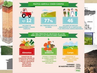 Hi ha diversos factors físics i humans que expliquen la diversitat i
la localització de l’activitat agrícola:
• Les condicions naturals. El clima, el relleu i el tipus de sòl
expliquen la distribució dels diferents conreus cada un
necessita unes condicions de temperatura i humitat; les terres
planes són més aprofitables per al treball i no tots els sòls són
iguals de fèrtils.
• L’augment de població mundial requereix una producció més
elevada d’aliments, per la qual cosa és necessari disposar de
terrenys agrícoles.
• Les polítiques agràries. Els governs i les organitzacions
internacionals apliquen plans de millora que contribueixen al
desenvolupament agrícola.
 