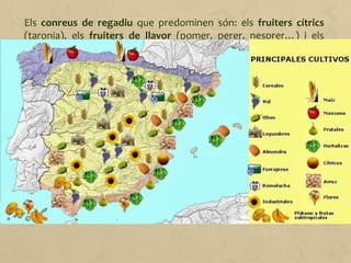 Els conreus de regadiu que predominen són: els fruiters cítrics
(taronja), els fruiters de llavor (pomer, perer, nesprer…) i els
fruiters de pinyol (cirerer, pruner, presseguer…); les hortalisses
es conreen a la zona mediterrània (enciam, pebrot, ceba,
tomàquet, albergínia…) especialment en hivernacles d'Almeria, la
vall del Guadalquivir i Múrcia.
Els conreus de regadiu requereixen molta mà d'obra, un ús
creixent de fertilitzants i llavors d'alt rendiment.
 