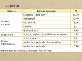 Espanya és una gran potència pesquera dins la Unió Europa.
Tanmateix, el sector pateix l'exhauriment de moltes espècies
dels seus caladors tradicionals per la sobrepesca. Les regions
pesqueres són:
• Nord-occidental. Correspon a les costes gallegues. És la
regió més important per volum de pesca i per valor
econòmic. El primer port pesquer d'Espanya és Vigo, amb
una destacable flota congeladora i bacallanera, indústries
conserveres i empreses distribuïdores.
• Cantàbrica. S'estén del riu Eo al Bidasoa. És la segona regió
en volum de pesca. Comprèn els ports de Bermeo, Sant
Sebastià i Gijón.
 
