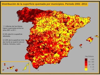 Es caracteritza bàsicament per l'explotació intensiva de pi i
eucaliptus, que es concentra a la cornisa Cantàbrica i a les
zones d'influència atlàntica i de muntanya.
L'explotació de boscos de faig, castanyer, roure, pollancre i
eucaliptus es destina a fusta, resina i suro (Espanya és el segon
productor mundial de suro).
A Espanya amb prou feines hi resta el 20% de les masses
forestals originals. Cada estiu, el foc arrasa una mitjana de
150000 ha de bosc.
 