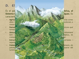 És el paisatge propi dels Pirineus, la serralada Cantàbrica, el
Sistema Central, la serralada Ibèrica i les serralades Bètiques. Es
caracteritza per:
• Agricultura. Varia segons l'altitud i la insolació: boscos i pastures a les zones
altes i hortes a les valls. Als vessants baixos, els bancals són abandonats a
causa de la dificultat d'utilitzar maquinària.
• Ramaderia. Destaca la cria de boví i oví de manera extensiva, encara que
també es practica la transhumància local, en el cas de l'oví.
• Silvicultura. Es basa en l'aprofitament del faig i el castanyer, de creixement
lent i de fusta molt preuada. La repoblació de pins i eucaliptus, de
creixement més ràpid, es destina a fusta de menys qualitat i a paper.
• Estructura agrària. Petites propietats a les valls, molt parcel·lades i
separades per tanques i camins amb arbres.
• Poblament. Escàs i concentrat en petits nuclis a les valls. Actualment, els
paisatges de muntanya s'estan transformant a causa de l'impacte del
turisme.
 