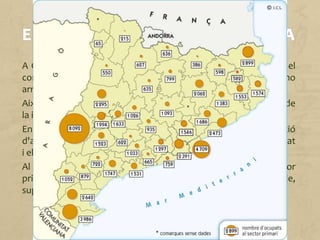 A Catalunya el sector primari té una participació molt baixa en el
conjunt de l'economia, tant per la seva contribució al PIB, que no
arriba a l'1%, com per la població que hi treballa, l'1,5%.
Això és degut a la mecanització de camp, al desenvolupament de
la indústria i els serveis i a l'ocupació del sòl conreable.
En els darrers temps, però, es va produint una revaloració
d'aquest sector, i es potencien els productes agraris de proximitat
i els territoris rurals.
Al Barcelonès i al Maresme, el nombre d'ocupats total en el sector
primari (que inclou pesca i serveis agraris), tot i que és notable,
suposa només un mínim percentatge de la població.
 