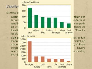 Els trets que caracteritzen l'agricultura catalana són:
• La petita dimensió de les propietats i l'explotació familiar, per
la qual cosa han d'invertir-hi capital per fer-les més modernes i
rendibles i aconseguir un grau de qualitat que les faci competir
en els mercats nacional i internacional. Aquestes terres es
localitzen sobretot a la Depressió Central, al delta de l'Ebre i a
les planes del litoral.
• L'alt grau de mecanització. Encara que algunes feines es fan
manualment, la majoria estan mecanitzades. A la diversitat de
màquines (tractors, motocultors, recol·lectores, etc.), s'hi han
afegit millores tècniques (adobs químics, llavors
seleccionades, productes fitosanitaris – herbicides, pesticides,
etc.–), que han elevat el rendiment dels conreus.
 