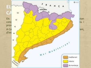 Els paisatges agraris de Catalunya són diversos i estan
condicionats per factors físics (clima, configuració del relleu i
proximitat al mar i als rius) i per factors humans.
A Catalunya hi trobem tres tipus de paisatges agraris: mediterrani,
d'interior i de muntanya.
 