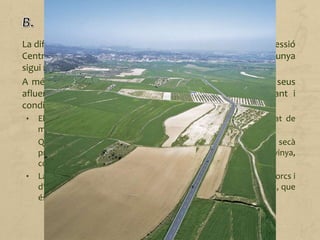 La diferenciació de les formes de relleu del conjunt de la Depressió
Central Catalana fa que el paisatge agrari de l'interior de Catalunya
sigui més diversificat que el de la resta de la Península.
A més, l'existència de dos grans rius (l'Ebre i el Segre i els seus
afluents) fa que l'extensió de regadiu sigui molt important i
condicioni els conreus i tota l'activitat agrària:
• Els conreus dominants són els cereals de regadiu (arròs, blat de
moro), algunes plantes farratgeres, fruita i hortalisses.
Quan ens allunyem de les zones regades, els conreus de secà
predominen pràcticament a tot el territori: cereals, oliveres i vinya,
combinats amb ramaderia ovina.
• La ramaderia és de tipus intensiu. Hi abunden les granges de porcs i
d'aviram. La producció s'orienta cap a la indústria agropecuària, que
és molt comercial: embotits, carn, ous, etc.
 