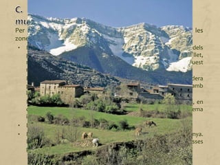 Per les característiques del relleu, les activitats principals a les
zones de muntanya són:
• La ramaderia. L'objectiu prioritari és la comercialització dels
productes ramaders, com ara la carn i els derivats lactis (llet,
mantega, formatge), tot i que a Catalunya actualment aquest
mercat és força saturat.
En algunes comarques de muntanya, l'especialització ramadera
permet la implantació d'activitats industrials relacionades amb
l'elaboració dels productes ramaders.
Pel que fa a la cria del bestiar, es combina el sistema extensiu, en
què els animals s'alimenten de pastures naturals, amb el sistema
intensiu d'estabulació en granges.
• L’explotació dels boscos per a l’obtenció de fusta i de llenya.
• L’agricultura és una activitat poc destacada les zones de muntanya.
Petits horts situats al voltant de les cases proporcionen hortalisses
per al consum familiar.
 