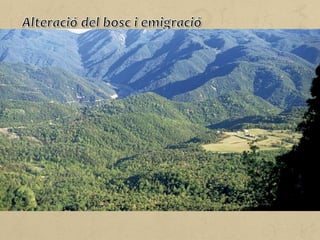 Com a conseqüència de les dificultats de l'agricultura de secà,
molts pagesos han abandonat els camps per anar a trobar feina a
la ciutat. D'aquí que el nombre d'habitants dels pobles hagi
disminuït i, fins i tot, alguns pobles hagin quedat deshabitats.
El bosc, que ocupava una part important d'aquesta zona de secà,
s'ha degradat a causa de l'emigració. Alhora, als camps
abandonats, hi tornen a créixer lentament matolls, arbustos i pins.
A les zones més interiors i de relleu més pronunciat, aquests dos
fets, emigració i degradació del bosc, s'intensifiquen notablement.
Els boscos constitueixen el gran patrimoni natural del país al qual
la població té accés lliure, amb poques restriccions, tot i que més
del 75% de la superfície forestal és de titularitat privada.
 