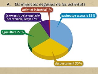 Les repercussions que la pràctica de l'agricultura i la ramaderia té
sobre el medi natural poden ser:
• La destrucció del bosc per substituir-lo per terreny agrícola.
• La contaminació per l'ús de tractaments químics en els
conreus (fertilitzants, pesticides, herbicides) o a causa dels
nitrats procedents de granges industrials.
• La sobreexplotació dels aqüífers.
• L'acceleració de l'erosió dels sòls, que queden desprotegits a
causa de les activitats agrícoles.
• La producció de gasos d'efecte d'hivernacle en la ramaderia.
 