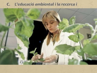La sostenibilitat no és possible sense un canvi d'actitud de l'ésser
humà respecte al medi natural.
La família i l'escola han de ser el punt de partida que faci possible
el desenvolupament de coneixement i d'actituds compromeses
amb el medi ambient.
Al llarg d'aquest procés d'aprenentatge, els individus es poden
convertir en agents de canvi, és a dir, en protagonistes en la presa
de decisions d'àmbit local.
D'aquesta manera, els governs dels països i les organitzacions
internacionals, com també les empreses d'àmbit local o
internacional, prioritzaran les responsabilitats socials i
empresarials en els seus projectes.
 