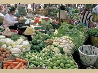 Malgrat els avenços tècnics i científics, disposar de terres i
d’aliment suficient és encara motiu de conflictes, guerres, fam ...
Tot i que hi ha un excés d’aliments en els mercats mundials, la fam
al món continua sent un problema sense resoldre.
La pèrdua de terres cultivables, l’elevat preu i la progressiva
disminució de l’aigua per a regatge, i l’especulació dels preus de
les collites són algunes de les principals causes de la pobresa
agrícola.
Per tant, una prioritat de tots els països és dissenyar la seva
política agrària més adequada, amb l’objectiu d’aconseguir la
sobirania alimentària. Per fer-ho, cal harmonitzar la producció
amb la demanda interna d’aliments, amb els canvis en els mercats
internacionals i amb els requisits mediambientals.
 