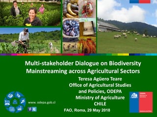 www. odepa.gob.cl
Multi-stakeholder Dialogue on Biodiversity
Mainstreaming across Agricultural Sectors
FAO, Roma, 29 May 2...