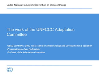 The work of the UNFCCC Adaptation
Committee
OECD Joint DAC-EPOC Task Team on Climate Change and Development Co-operation
Presentation by Juan Hoffmaister
Co-Chair of the Adaptation Committee
 