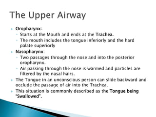  Oropharynx:
◦ Starts at the Mouth and ends at the Trachea.
◦ The mouth includes the tongue inferiorly and the hard
palate superiorly
 Nasopharynx:
◦ Two passages through the nose and into the posterior
oropharynx.
◦ Air passing through the nose is warmed and particles are
filtered by the nasal hairs.
 The Tongue in an unconscious person can slide backward and
occlude the passage of air into the Trachea.
 This situation is commonly described as the Tongue being
“Swallowed”.
 