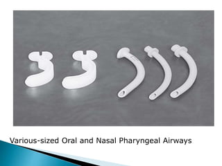 Various-sized Oral and Nasal Pharyngeal Airways
 