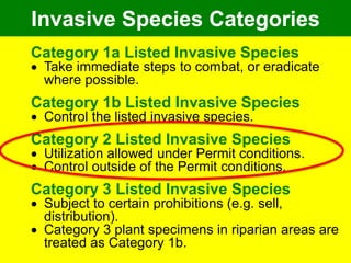 Invasive Species Categories
Category 1a Listed Invasive Species
 Take immediate steps to combat, or eradicate
where possible.
Category 1b Listed Invasive Species
 Control the listed invasive species.
Category 2 Listed Invasive Species
 Utilization allowed under Permit conditions.
 Control outside of the Permit conditions.
Category 3 Listed Invasive Species
 Subject to certain prohibitions (e.g. sell,
distribution).
 Category 3 plant specimens in riparian areas are
treated as Category 1b.
 