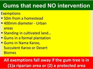 Gums that need NO intervention
Exemptions
 50m from a homestead
 400mm diameter - Urban
areas
 Standing in cultivated land…
 Gums in a formal plantation
 Gums in Nama Karoo,
Succulent Karoo or Desert
Biomes
All exemptions fall away if the gum tree is in
(1)a riparian area or (2) a protected area
 