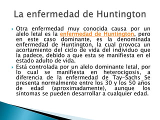  Otra enfermedad muy conocida causa por un
alelo letal es la enfermedad de Huntington, pero
en este caso dominante, es la denominada
enfermedad de Huntington, la cual provoca un
acortamiento del ciclo de vida del individuo que
la padece, debido a que esta se manifiesta en el
estado adulto de vida.
 Está controlada por un alelo dominante letal, por
lo cual se manifiesta en heterocigosis, a
diferencia de la enfermedad de Tay-Sachs Se
presenta normalmente entre los 30 y los 50 años
de edad (aproximadamente), aunque los
síntomas se pueden desarrollar a cualquier edad.
 