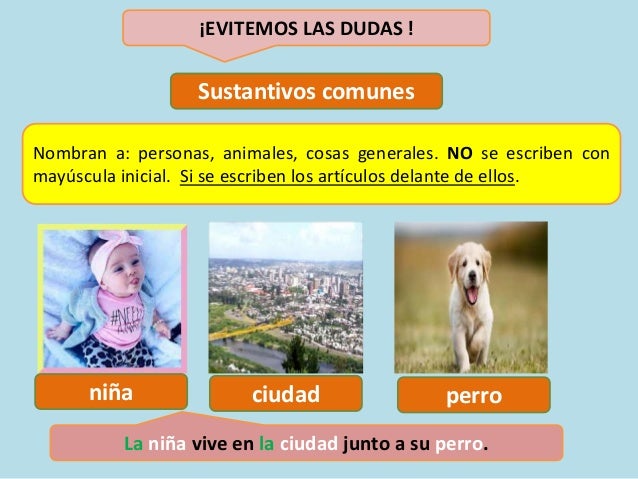 ¡EVITEMOS LAS DUDAS !
Sustantivos comunes
Nombran a: personas, animales, cosas generales. NO se escriben con
mayúscula inicial. Si se escriben los artículos delante de ellos.
niña ciudad perro
La niña vive en la ciudad junto a su perro.
 