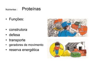 Nutrientes :   Proteínas

• Funções:

• construtora
• defesa
• transporte
• geradores de movimento
• reserva energética
 