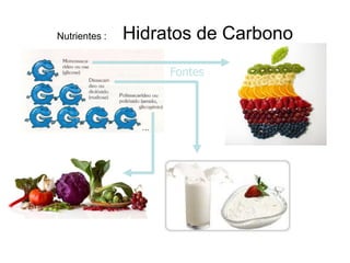 Nutrientes :   Hidratos de Carbono
                    Fontes
 