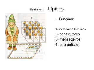 Nutrientes :   Lípidos
                  • Funções:

                  1- isoladores térmicos
                  2- construtores
                  3- mensageiros
                  4- energéticos
 