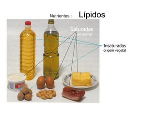 Nutrientes :    Lípidos
           Saturadas
           origem animal


                           Insaturadas
                           origem vegetal
 
