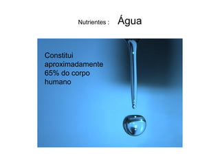 Nutrientes :   Água


Constitui
aproximadamente
65% do corpo
humano
 