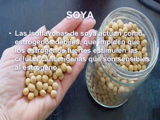 SOYA
• Las isoflavonas de soya actúan como
estrógenos débiles, que impiden que
los estrógenos fuertes estimulen las
células cancerígenas que son sensibles
al estrógeno.
 