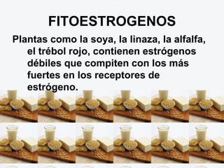FITOESTROGENOS
Plantas como la soya, la linaza, la alfalfa,
el trébol rojo, contienen estrógenos
débiles que compiten con los más
fuertes en los receptores de
estrógeno.
 