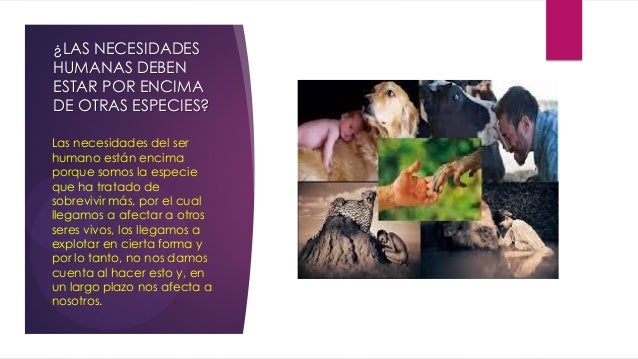 Necesidades Humanas Y De Otras Especies cursop