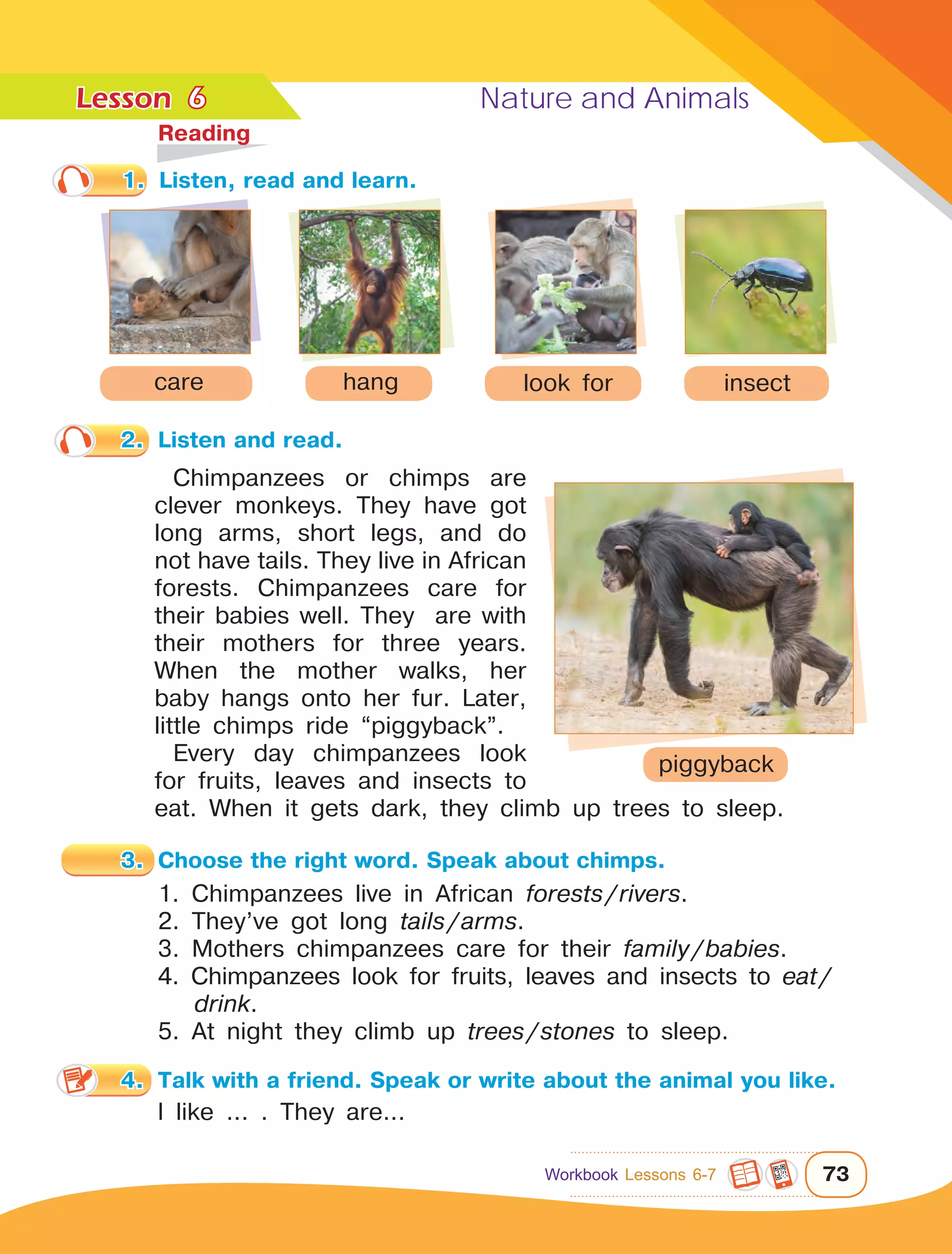 Lesson	 Nature and Animals
73
6
	Reading
2.	 Listen and read.
Chimpanzees or chimps are
clever monkeys. They have got
long arms, short legs, and do
not have tails. They live in African
forests. Chimpanzees care for
their babies well. They are with
their mothers for three years.
When the mother walks, her
baby hangs onto her fur. Later,
little chimps ride “piggyback”.
Every day chimpanzees look
for fruits, leaves and insects to
eat. When it gets dark, they climb up trees to sleep.
1. Chimpanzees live in African forests / rivers.
2. They’ve got long tails / arms.
3. Mothers chimpanzees care for their family / babies.
4. Chimpanzees look for fruits, leaves and insects to eat /
drink.
5. At night they climb up trees / stones to sleep.
hangcare look for insect
1.	 Listen, read and learn.
3.	 Choose the right word. Speak about chimps.
4.	 Talk with a friend. Speak or write about the animal you like.
	 I like ... . They are...
Workbook Lessons 6-7
 