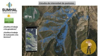 Estudio de intensidad de pastoreo
PASTOREO
CORTAFUEGOS
(PC)
¿Facilita el trabajo
de evaluación a los
técnicos?
¿Facilita e...