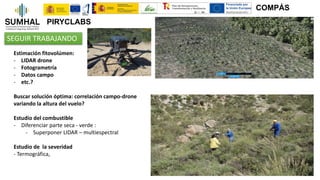 Estimación fitovolúmen:
- LIDAR drone
- Fotogrametría
- Datos campo
- etc.?
Buscar solución óptima: correlación campo-dron...