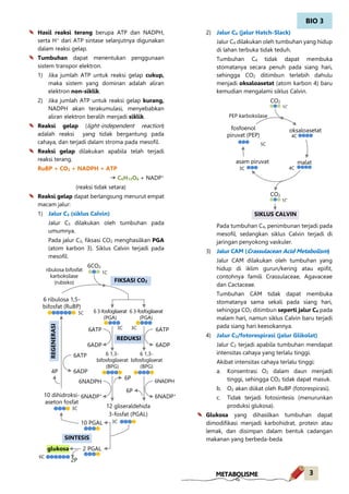BIO 3
3METABOLISME
Hasil reaksi terang berupa ATP dan NADPH,
serta H+
dari ATP sintase selanjutnya digunakan
dalam reaksi gelap.
Tumbuhan dapat menentukan penggunaan
sistem transpor elektron.
1) Jika jumlah ATP untuk reaksi gelap cukup,
maka sistem yang dominan adalah aliran
elektron non-siklik.
2) Jika jumlah ATP untuk reaksi gelap kurang,
NADPH akan terakumulasi, menyebabkan
aliran elektron beralih menjadi siklik.
Reaksi gelap (light-independent reaction)
adalah reaksi yang tidak bergantung pada
cahaya, dan terjadi dalam stroma pada mesofil.
Reaksi gelap dilakukan apabila telah terjadi
reaksi terang.
RuBP + CO2 + NADPH + ATP
d C6H12O6 + NADP+
(reaksi tidak setara)
Reaksi gelap dapat berlangsung menurut empat
macam jalur:
1) Jalur C3 (siklus Calvin)
Jalur C3 dilakukan oleh tumbuhan pada
umumnya.
Pada jalur C3, fiksasi CO2 menghasilkan PGA
(atom karbon 3). Siklus Calvin terjadi pada
mesofil.
2) Jalur C4 (jalur Hatch-Slack)
Jalur C4 dilakukan oleh tumbuhan yang hidup
di lahan terbuka tidak teduh.
Tumbuhan C4 tidak dapat membuka
stomatanya secara penuh pada siang hari,
sehingga CO2 ditimbun terlebih dahulu
menjadi oksaloasetat (atom karbon 4) baru
kemudian mengalami siklus Calvin.
Pada tumbuhan C4, penimbunan terjadi pada
mesofil, sedangkan siklus Calvin terjadi di
jaringan penyokong vaskuler.
3) Jalur CAM (Crassulacean Acid Metabolism)
Jalur CAM dilakukan oleh tumbuhan yang
hidup di iklim gurun/kering atau epifit,
contohnya famili Crassulaceae, Agavaceae
dan Cactaceae.
Tumbuhan CAM tidak dapat membuka
stomatanya sama sekali pada siang hari,
sehingga CO2 ditimbun seperti jalur C4 pada
malam hari, namun siklus Calvin baru terjadi
pada siang hari keesokannya.
4) Jalur C2/fotorespirasi (jalur Glikolat)
Jalur C2 terjadi apabila tumbuhan mendapat
intensitas cahaya yang terlalu tinggi.
Akibat intensitas cahaya terlalu tinggi:
a. Konsentrasi O2 dalam daun menjadi
tinggi, sehingga CO2 tidak dapat masuk.
b. O2 akan diikat oleh RuBP (fotorespirasi).
c. Tidak terjadi fotosintesis (menurunkan
produksi glukosa).
Glukosa yang dihasilkan tumbuhan dapat
dimodifikasi menjadi karbohidrat, protein atau
lemak, dan disimpan dalam bentuk cadangan
makanan yang berbeda-beda.
6CO2
1C
3C6ATP
3C
12 gliseraldehida
3-fosfat (PGAL)
10 dihidroksi-
aseton fosfat
glukosa
ribulosa bifosfat
karboksilase
(rubisko)
2P
6 ribulosa 1,5-
bifosfat (RuBP)
5C
FIKSASI CO2
3C
6ADP
6NADPH
6NADP+
6ATP
6ADP
6NADPH
6NADP+
10 PGAL
2 PGAL
6C
6 3-fosfogliserat
(PGA)
6 3-fosfogliserat
(PGA)
6 1,3-
bifosfogliserat
(BPG)
6 1,3-
bifosfogliserat
(BPG)
6P
6P
6ATP
6ADP4P
3C
REGENERASI
REDUKSI
SINTESIS
CO2
1C
4C
SIKLUS CALVIN
PEP karboksilase
5C
4C
oksaloasetat
malat
CO2
1C
3C
asam piruvat
fosfoenol
piruvat (PEP)
 