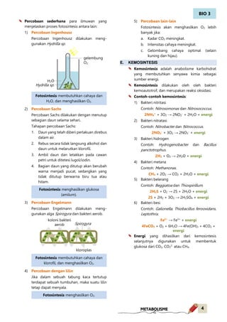 BIO 3
4METABOLISME
Percobaan sederhana para ilmuwan yang
menjelaskan proses fotosintesis antara lain:
1) Percobaan Ingenhousz
Percobaan Ingenhousz dilakukan meng-
gunakan Hydrilla sp.
2) Percobaan Sachs
Percobaan Sachs dilakukan dengan menutup
sebagian daun selama sehari.
Tahapan percobaan Sachs:
1. Daun yang telah diberi perlakuan direbus
dalam air.
2. Rebus secara tidak langsung alkohol dan
daun untuk melarutkan klorofil.
3. Ambil daun dan letakkan pada cawan
petri untuk ditetesi lugol/iodin.
4. Bagian daun yang ditutup akan berubah
warna menjadi pucat, sedangkan yang
tidak ditutup berwarna biru tua atau
hitam.
3) Percobaan Engelmann
Percobaan Engelmann dilakukan meng-
gunakan alga Spirogyra dan bakteri aerob.
4) Percobaan dengan lilin
Jika dalam sebuah tabung kaca tertutup
terdapat sebuah tumbuhan, maka suatu lilin
tetap dapat menyala.
5) Percobaan lain-lain
Fotosintesis akan menghasilkan O2 lebih
banyak jika:
a. Kadar CO2 meningkat.
b. Intensitas cahaya meningkat.
c. Gelombang cahaya optimal (selain
kuning dan hijau).
E. KEMOSINTESIS
Kemosintesis adalah anabolisme karbohidrat
yang membutuhkan senyawa kimia sebagai
sumber energi.
Kemosintesis dilakukan oleh oleh bakteri
kemoautotrof, dan merupakan reaksi oksidasi.
Contoh-contoh kemosintesis:
1) Bakteri nitritasi
Contoh: Nitrosomonas dan Nitrosococcus.
2NH4
+
+ 3O2 → 2NO2
-
+ 2H2O + energi
2) Bakteri nitratasi
Contoh: Nitrobacter dan Nitrococcus.
2NO2
-
+ 3O2 → 2NO3
-
+ energi
3) Bakteri hidrogen
Contoh: Hydrogenobacter dan Bacillus
panctotrophus.
2H2 + O2 → 2H2O + energi
4) Bakteri metana
Contoh: Methanonas.
CH4 + 2O2 → CO2 + 2H2O + energi
5) Bakteri belerang
Contoh: Beggiatoa dan Thiospirillum.
2H2S + O2 → 2S + 2H2O + energi
2S + 2H2 + 3O2 → 2H2SO4 + energi
6) Bakteri besi
Contoh: Galionella, Thiobacillus ferooxidans,
Leptothrix.
Fe2+
→ Fe3+
+ energi
4FeCO3 + O2 + 6H2O → 4Fe(OH)3 + 4CO2 +
energi
Energi yang dihasilkan dari kemosintesis
selanjutnya digunakan untuk membentuk
glukosa dari CO2, CO3
2-
atau CH4.
gelembung
O2
H2O
Hydrilla sp.
Fotosintesis membutuhkan cahaya dan
H2O, dan menghasilkan O2.
Fotosintesis menghasilkan glukosa
(amilum).
Spirogyra
koloni bakteri
aerob
kloroplas
Fotosintesis membutuhkan cahaya dan
klorofil, dan menghasilkan O2.
Fotosintesis menghasilkan O2.
 