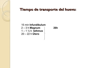 15 min Infundibulum
2 – 3 h Magnum 26h
1 – 1 ½ h Isthmus
20 – 22 h Útero
Tiempo de transporte del huevo:
Tiempo de transporte del huevo:
 