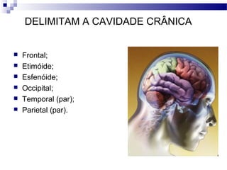 DELIMITAM A CAVIDADE CRÂNICA
 Frontal;
 Etimóide;
 Esfenóide;
 Occipital;
 Temporal (par);
 Parietal (par).
 