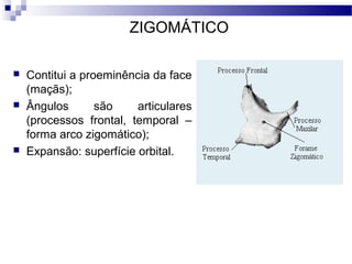 ZIGOMÁTICO
 Contitui a proeminência da face
(maçãs);
 Ângulos são articulares
(processos frontal, temporal –
forma arco zigomático);
 Expansão: superfície orbital.
 