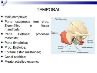 TEMPORAL
 Mais complexo;
 Parte escamosa tem proc.
Zigomático e fossa
mandibular.
 Parte Petrosa: processo
mastóide;
 Parte timpânica;
 Proc. Estilóide;
 Forame estilo mastóideo;
 Canal carótico;
 Meato acústico externo.
 